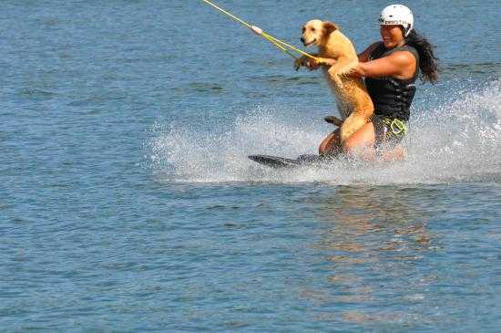 Anthem Wake Park