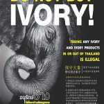 Save elephants: do not buy ivory