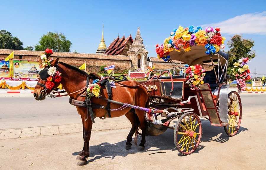 Beyond the Tuk-tuk: TAT introduces program to let visitors try unusual Thai modes of transport