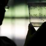 Provinces across nation step up measures against Zika