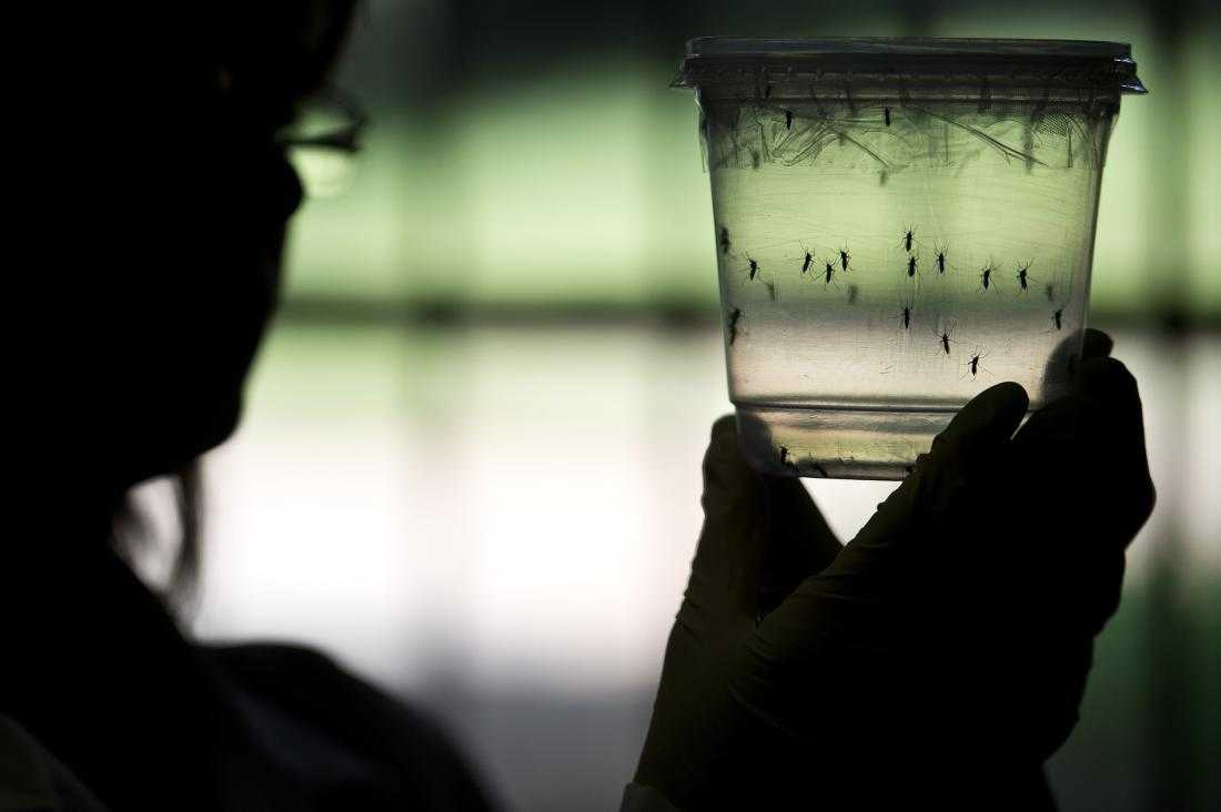 Provinces across nation step up measures against Zika