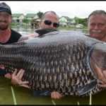 Brit catches massive, record-shattering 100 kilo Siamese Carp in Ratchaburi