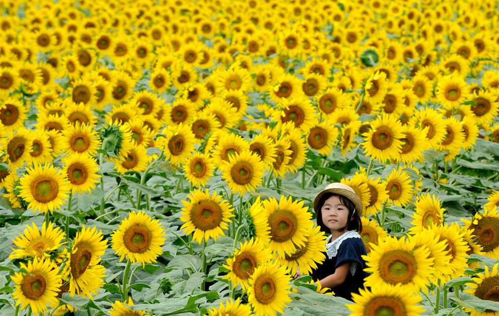 Flowers in two provinces