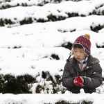 Northeast to experience cold weather next week