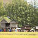 Go cherry picking at Jim Thompson farm this cool season